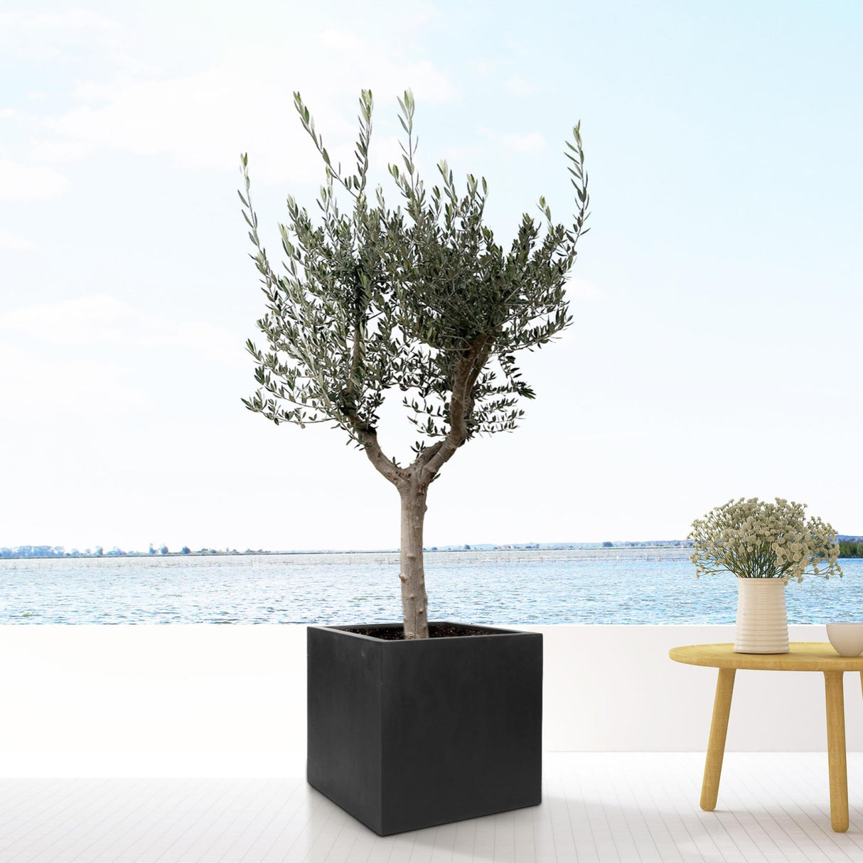 Livraison plante Pot Block Noir 50 cm