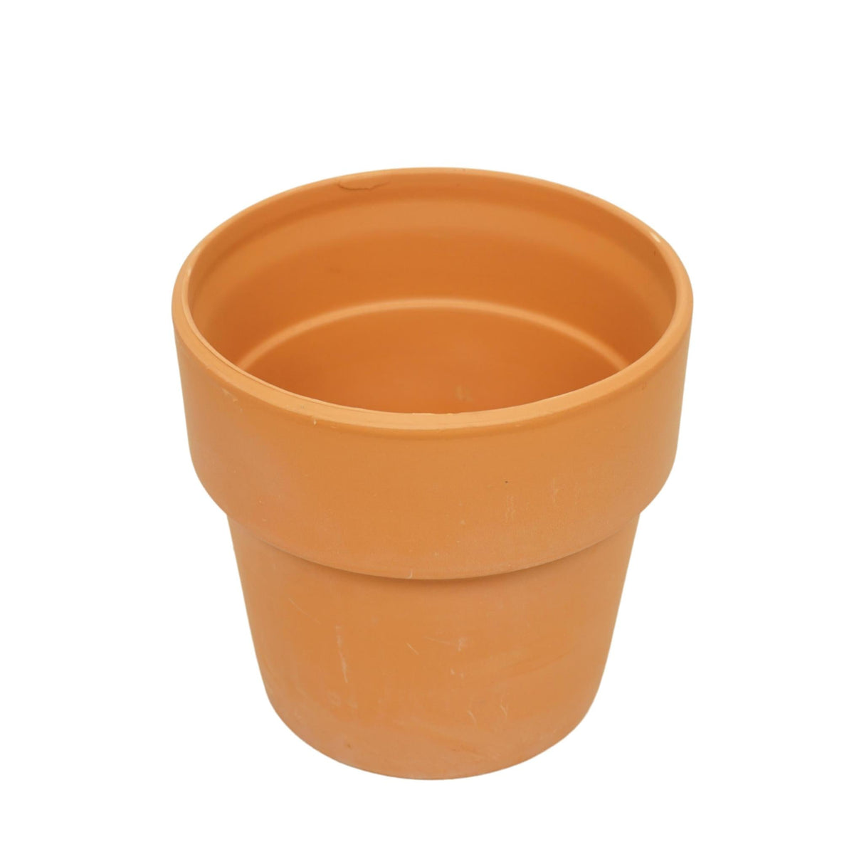 Livraison plante Pot en terre cuite - 12 cm