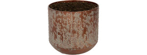 Sort Lian potte 15 cm