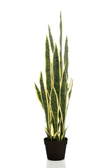 Livraison plante Sanseveria Trifasciata plante artificielle - h97cm, Ø12cm