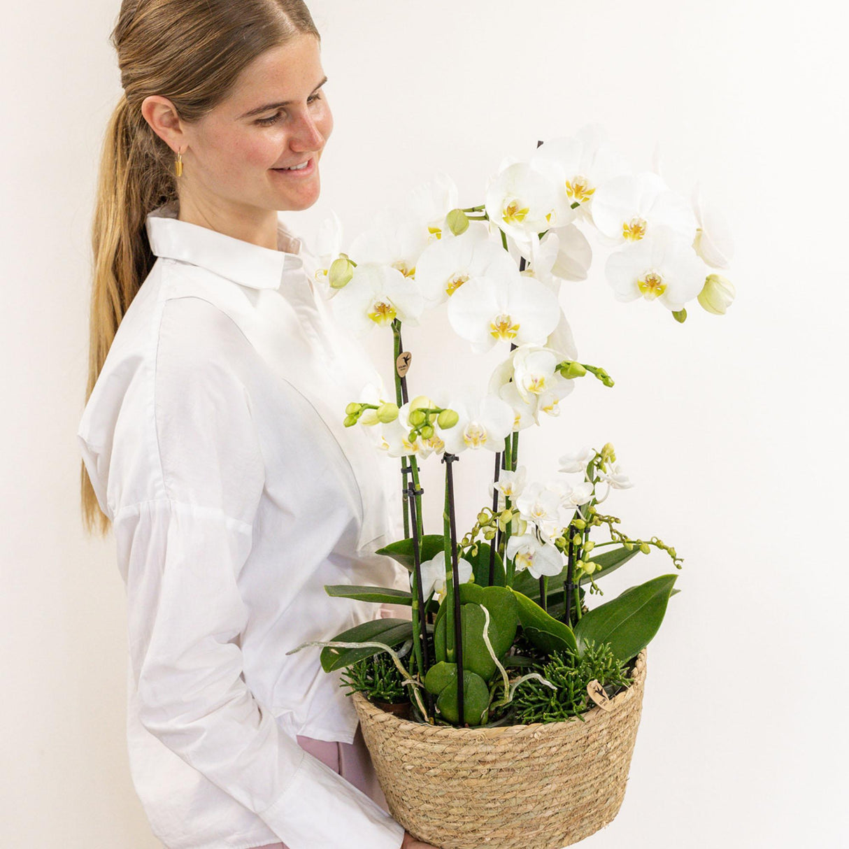 Livraison plante Set 3 orchidées blanches et 3 Rhipsalis dans un panier en roseau avec réservoir d'eau