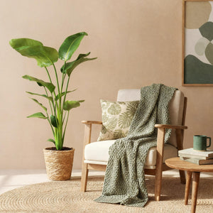 Livraison plante Strelitzia nicolai et panier H115cm
