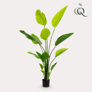 Livraison plante Strelitzia Nicolai plante artificielle - h150cm, Ø12cm