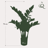 Livraison plante Zamioculcas plante artificielle - h70cm, Ø12cm