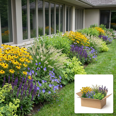 Pack jardin - composition prête à planter