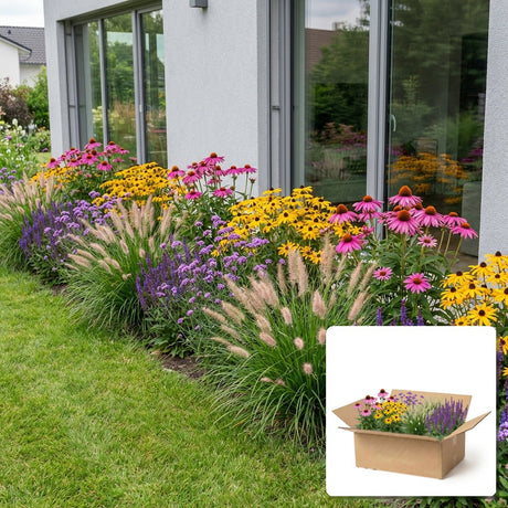 Pack jardin - composition prête à planter