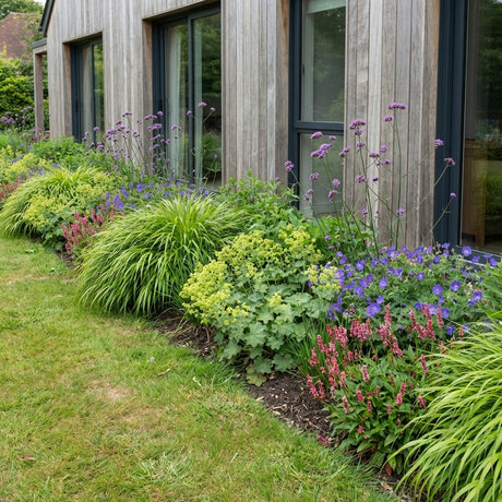 Pack Massif Soleil & Mi-Ombre Rose & Jaune - 30 plantes — photo 2