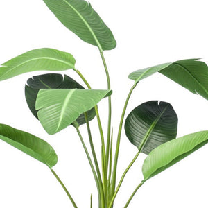 Strelitzia artificiel en pot h120cm
