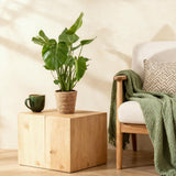 Green BoutiQ - Green is... Kamerplanten - Monstera Deliciosa - Gatenplant - Weinig onderhoud - met mand - Groen - 1 Plant - Pot 17cm - Hoogte 50-55cm