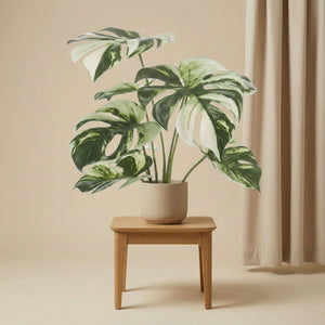 Monstera variegata artificiel h40cm pot inclus