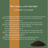 Universelt Potjord 30 Liter Køb – Til Indendørs og Udendørs Planter