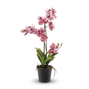 Orchidee Vanda artificielle h60cm