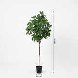 Magnolia arbuste artificiel h190cm
