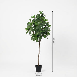 Magnolia arbuste artificiel h190cm