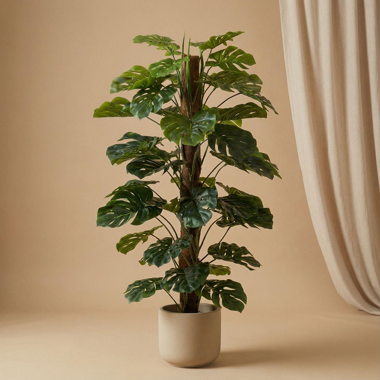 Monstera artificiel h150cm