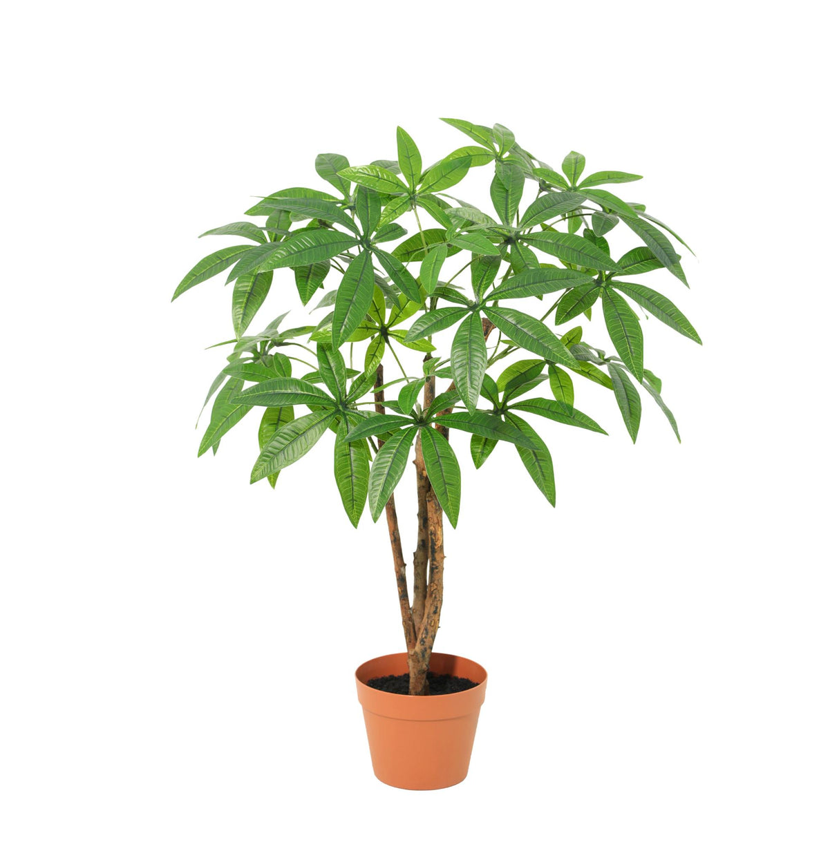 Pachira Aquatica artificiel h86cm