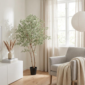 ficus benjamina variegata artificiel h185cm