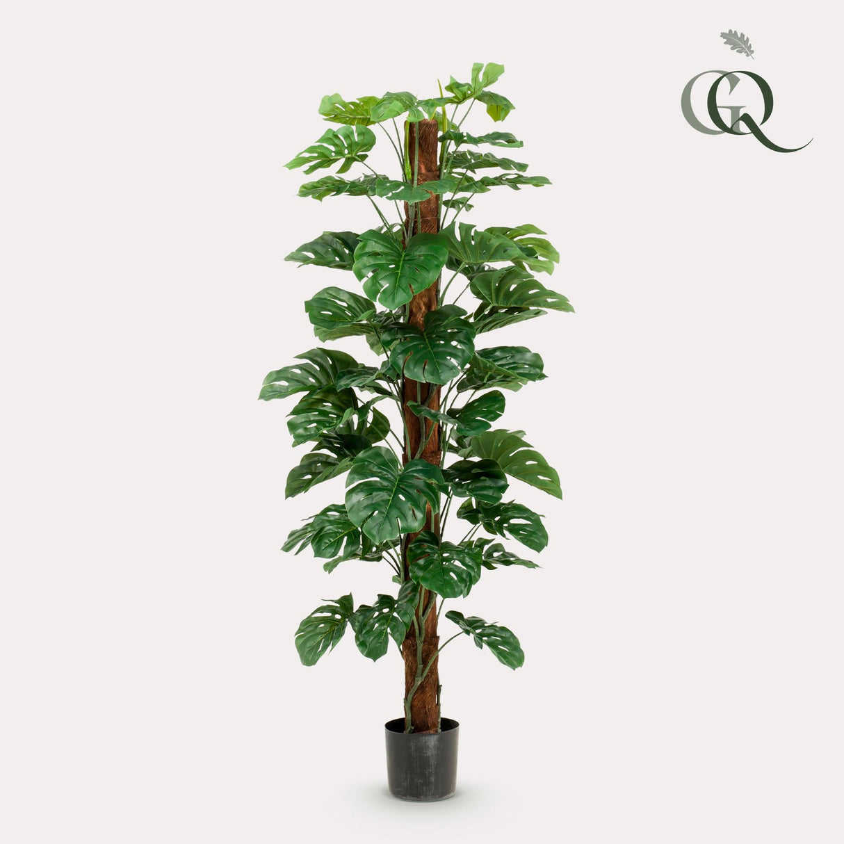 Monstera deliciosa artificiel h180cm