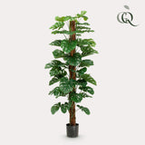 Monstera deliciosa artificiel h180cm