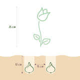 Green boutiQ - Bloembollen - Tulp Praestans mix - Diversen Kleuren - 25 stuks - Bolmaat 8/9 - XXL Pack