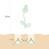 Green boutiQ - Bloembollen - Corydalis Beth Evans - Kleur Wit en Paars - 20 stuks - Bolmaat 6/7 - XXL Pack