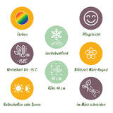 Green boutiQ - Borderpakket - Bodembedekkend - 24 Vaste planten - 3 m2 - Diversen kleuren - Weinig Onderhoud - Pot 11cm