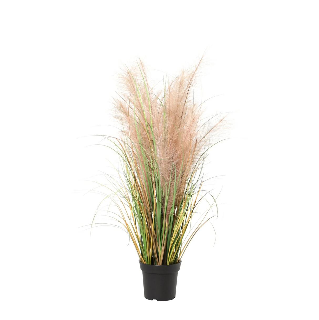 Roseau commun artificiel h95cm