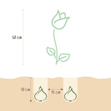 Green boutiQ - Bloembollen - Tulp Sylvestris - Kleur Geel - 20 stuks - Bolmaat 5/6 - XXL Pack