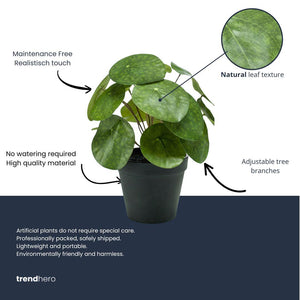 Pilea artificiel h25cm pot inclus