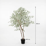 ficus benjamina variegata artificiel h185cm