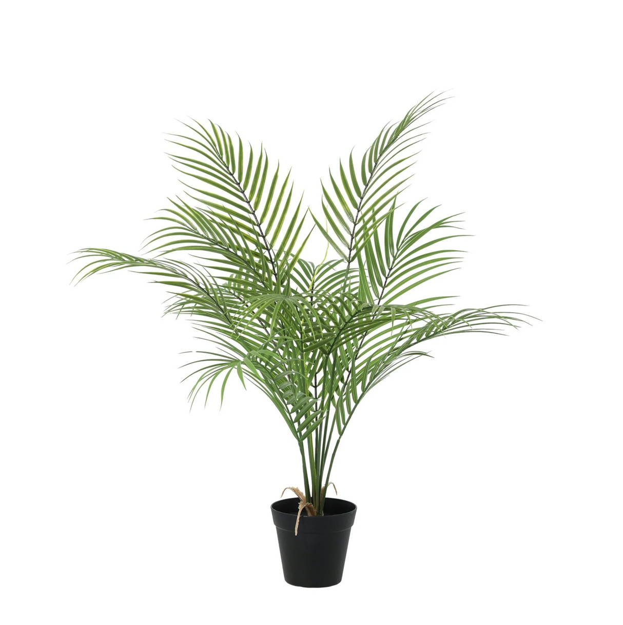 Kentia palmier artificiel h65cm