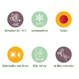 Green boutiQ - Terrasplant - Japanse Esdoorn - Acer palmatum Shaina - Rood - 2 Planten - Bladverliezend - Pot 19cm Hoogte 70cm