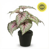Begonia artificiel h26cm pot inclus