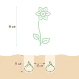 Green boutiQ - Bloembollen - Narcis Mount Hood - Kleur Wit - 15 stuks - Bolmaat 10/12 - XXL Pack