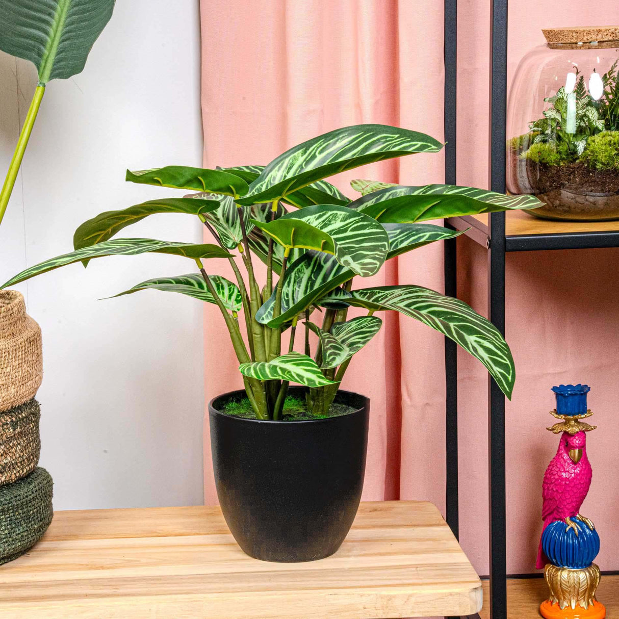 Calathea artificiel et pot h40cm
