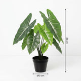 Alocasia polly artificiel h40cm