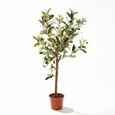 Olivier artificiel h65cm pot inclus