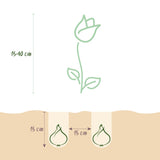 Green boutiQ - Bloembollen - Bulbs From Holland - Diversen Kleuren - 125 stuks - Gift Verpakking