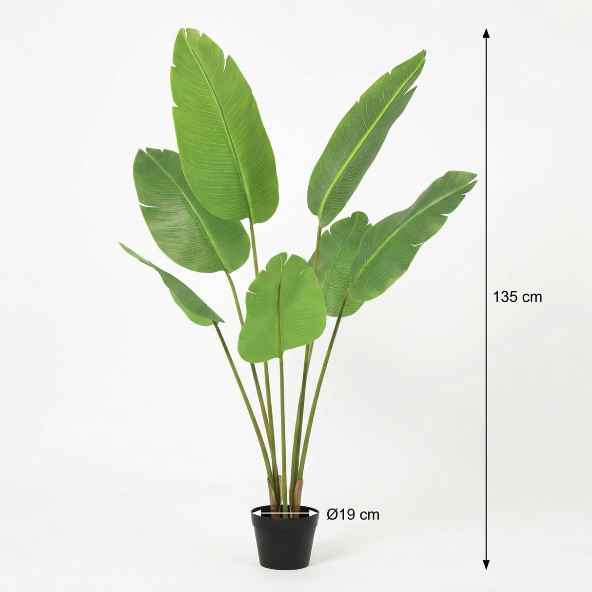 Strelitzia Nicolai artificiel h135cm