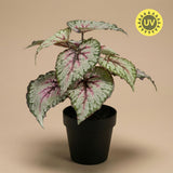 Begonia artificiel h26cm pot inclus