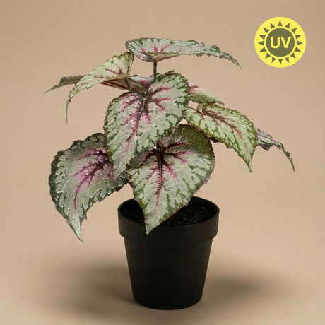 Begonia artificiel h26cm pot inclus