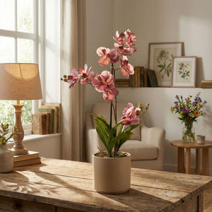 Orchidee Vanda artificielle h60cm