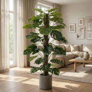 Monstera artificiel h150cm