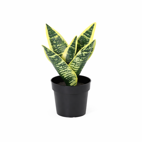 ARTIFICIAL Sansevieria laurentii - 21cm
