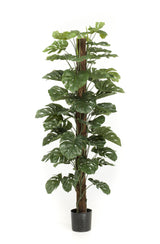 Monstera deliciosa artificiel h180cm