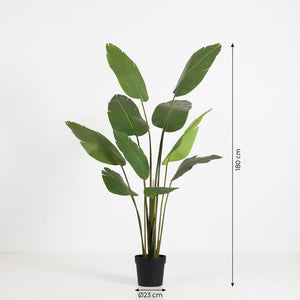 Strelitizia nicolai artificiel h180cm