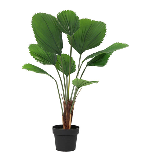 Licuala Grandis palmier artificiel h104cm