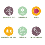 Green boutiQ - Terrasplant - Japanse Esdoorn - Acer palmatum Phoenix - Roze - 1 Plant - Bladverliezend - Pot 19cm Hoogte 70cm