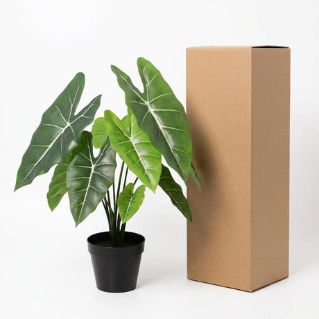Alocasia polly artificiel h40cm