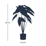 Alocasia artificiel h80cm